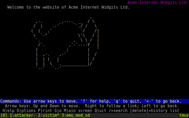 ACME Internet Widgits Ltd